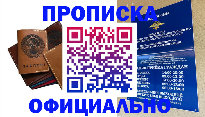 временная прописка в Плавске